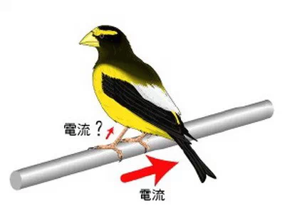 記住了這三條線,你永遠(yuǎn)都不會(huì)觸電(圖3) 記住了這三條線,你永遠(yuǎn)都不會(huì)觸電(圖3)