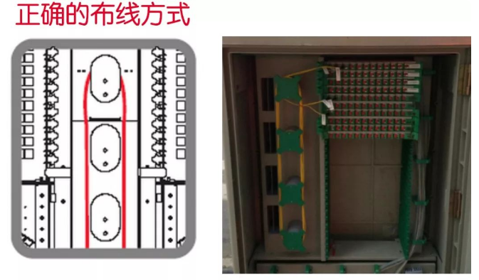 怎樣跳纖?看完就懂!(圖3) 怎樣跳纖?看完就懂!(圖3)